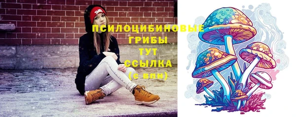 дурь Балахна