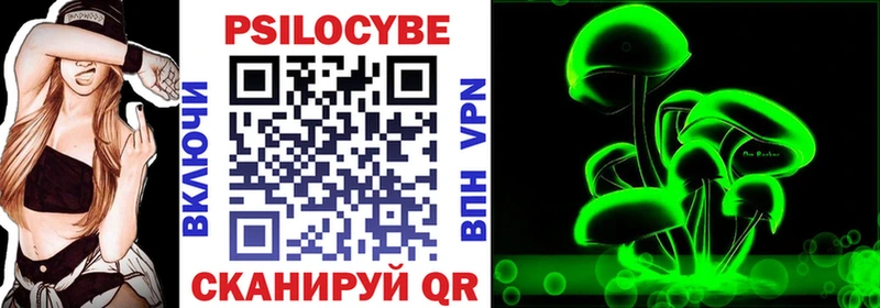 МЕГА ссылка Ульяновск Псилоцибиновые грибы Psilocybe